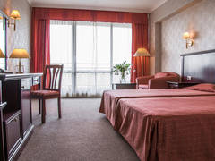 Zimmerbild 11