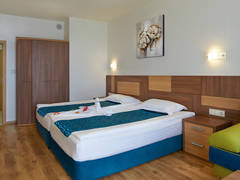 Zimmerbild 11