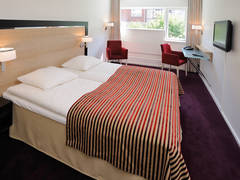 Zimmerbild 6