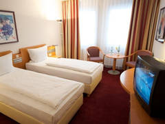 Zimmerbild 1