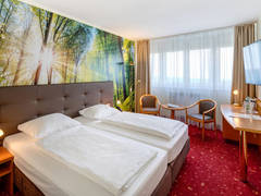 Zimmerbild 6