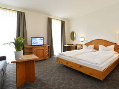 Zimmerbild 3