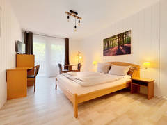 Zimmerbild 12