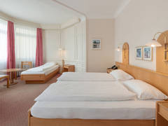 Zimmerbild 28