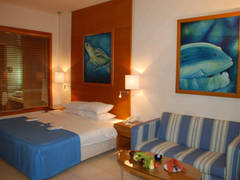 Zimmerbild 11