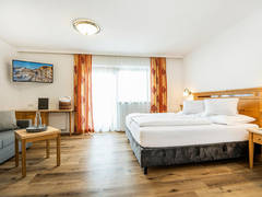 Zimmerbild 12