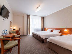 Zimmerbild 5