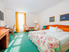 Zimmerbild 6