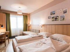 Zimmerbild 9