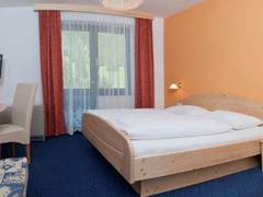 Zimmerbild 11