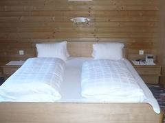 Zimmerbild 8