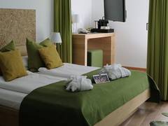 Zimmerbild 12