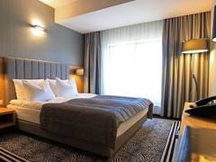 Zimmerbild 3