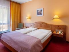 Zimmerbild 11