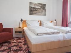 Zimmerbild 8