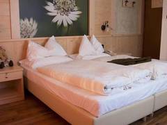 Zimmerbild 5