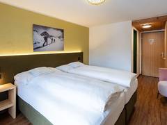Zimmerbild 17