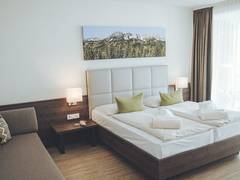 Zimmerbild 10