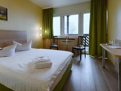 Zimmerbild 13