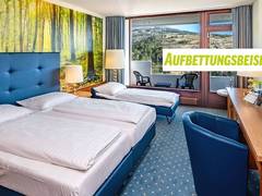 Zimmerbild 17