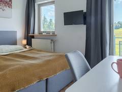 Zimmerbild 11