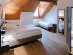 Zimmerbild 12