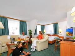 Zimmerbild 6
