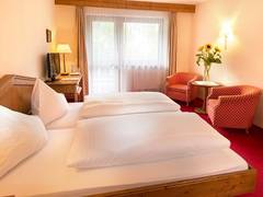 Zimmerbild 11