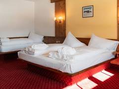 Zimmerbild 11