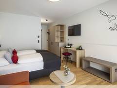 Zimmerbild 8