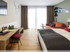 Zimmerbild 13