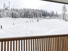 Zimmerbild 14