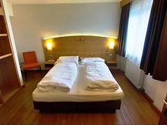 Zimmerbild 11