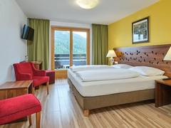 Zimmerbild 15