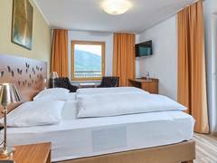 Zimmerbild 12