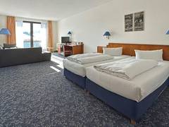 Zimmerbild 28
