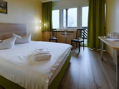 Zimmerbild 19