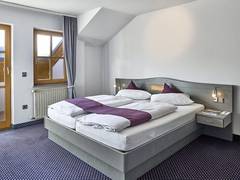 Zimmerbild 25