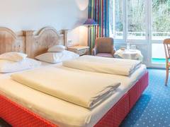 Zimmerbild 4