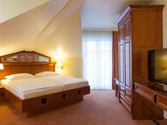 Zimmerbild 6