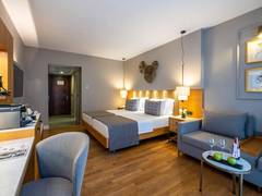 Zimmerbild 8