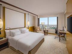 Zimmerbild 17