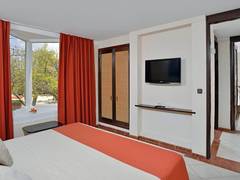 Zimmerbild 13