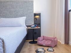 Zimmerbild 4