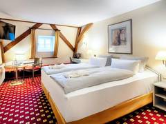 Zimmerbild 2