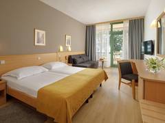 Zimmerbild 8