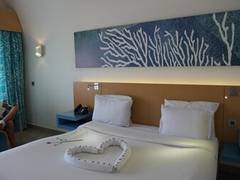 Zimmerbild 6