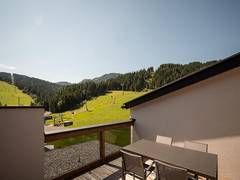 Zimmerbild 96