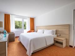 Zimmerbild 12