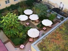 Zimmerbild 12